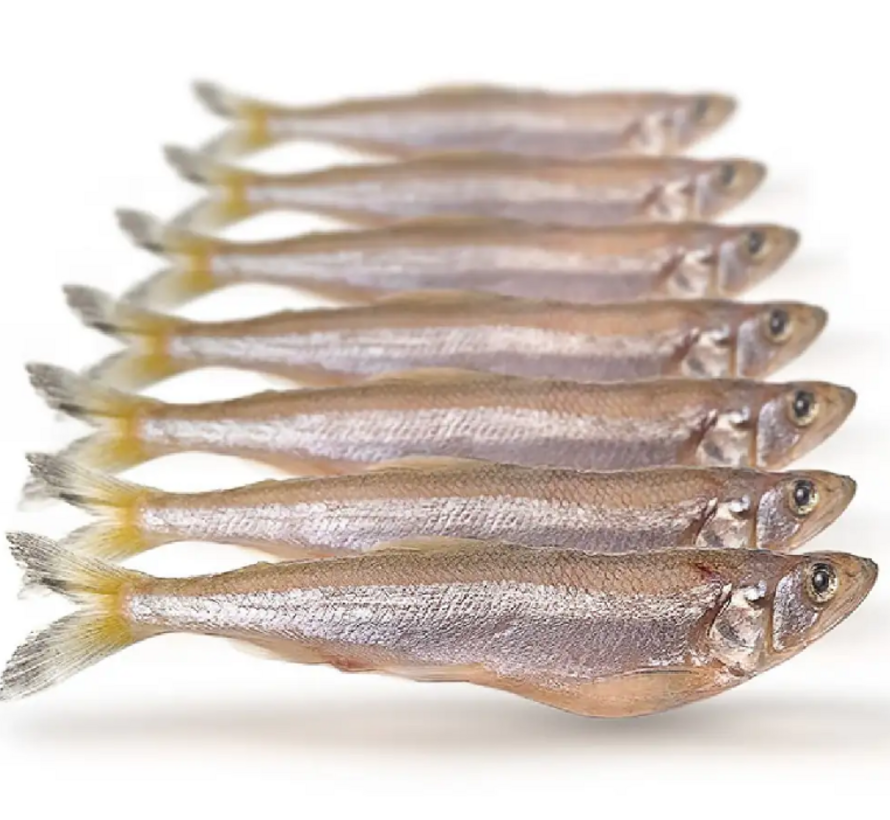 Prebaits Spiering Groot 12-18cm 250gr