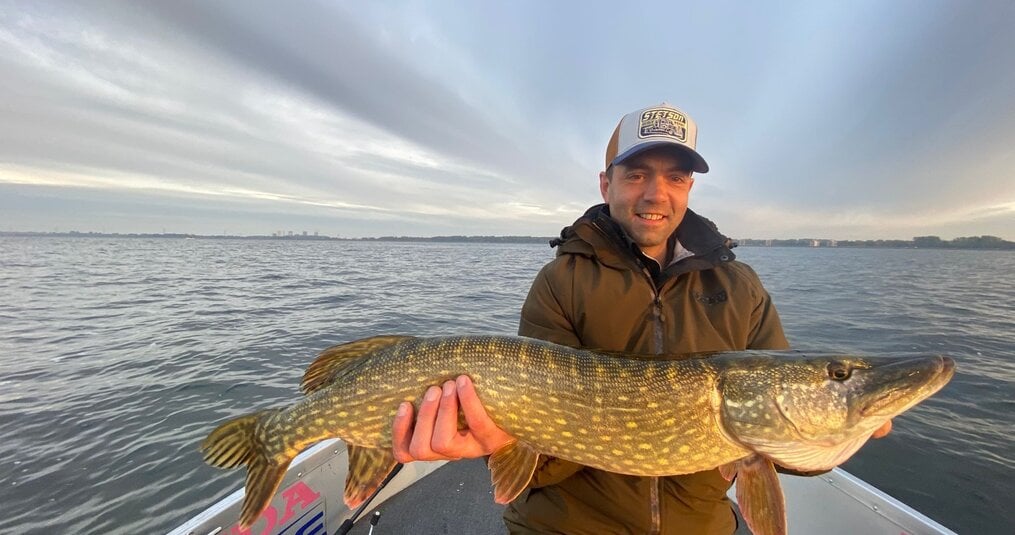Snoekvissen: het beste kunstaas en doodaas voor snoek