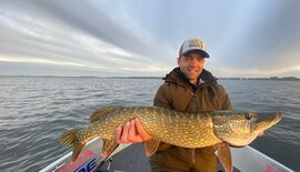 Snoekvissen: het beste kunstaas en doodaas voor snoek