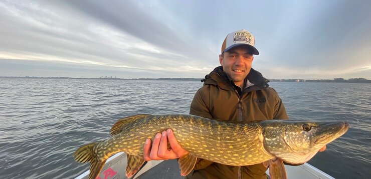 Snoekvissen: het beste kunstaas en doodaas voor snoek