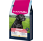 Eukanuba Senior Large Breed - Hondenbrokken - Kip 12 kg