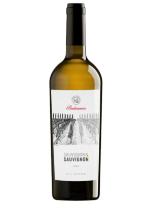 Budureasca Sauvignon & Sauvignon 2020