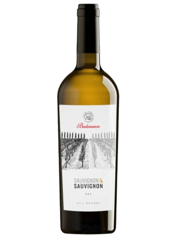 Budureasca Budureasca Sauvignon & Sauvignon 2020