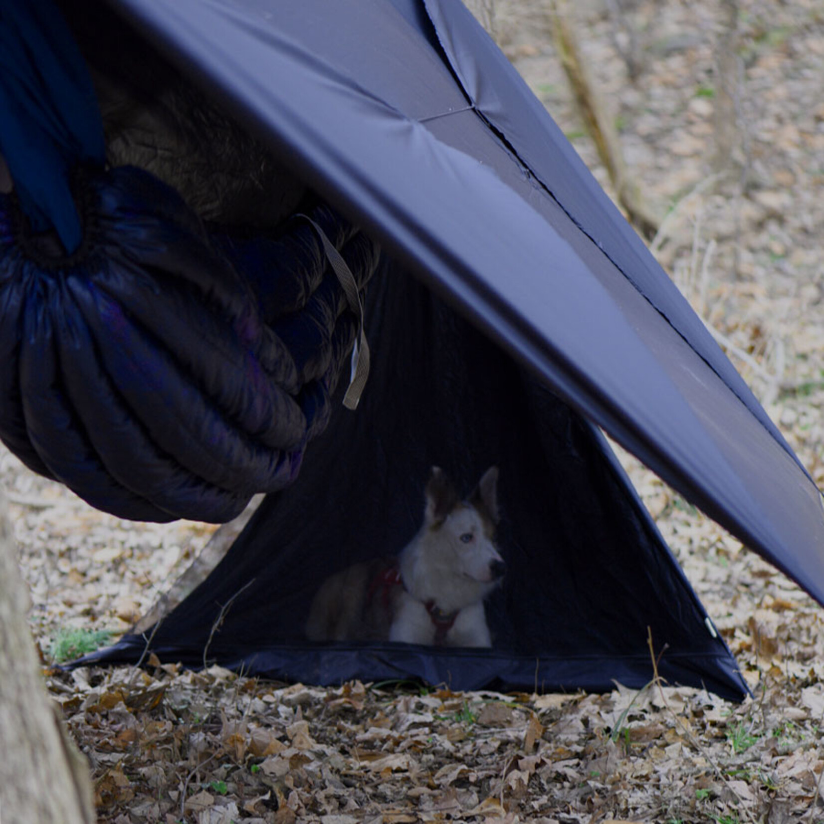 Dutchware Gear Pup tent
