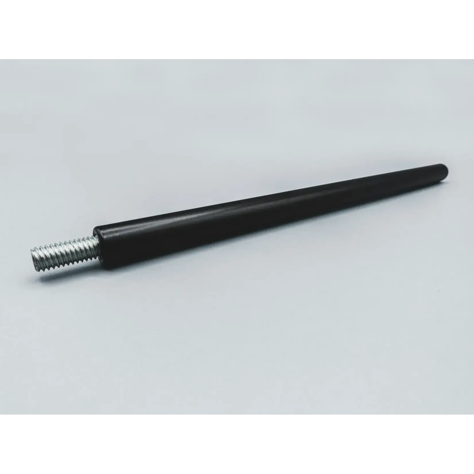 Schwarze Biene Schwarze Biene tafel  Big Mama