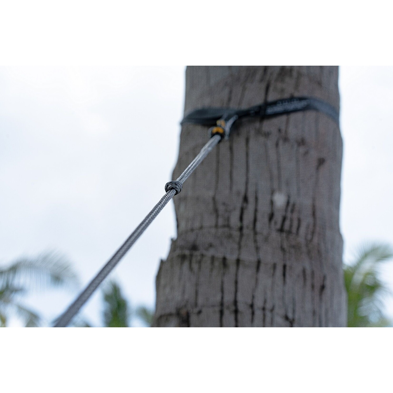 Ticket to the moon TTTM Lightest Straps