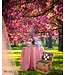 Picknickmand  4 personen Groene Madelief - Prachtig & Elegant  - Ideaal voor Picknick met Wijn -  Inclusief Wijnglazen en Koelvak -