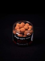 Holland Baits Pop-up | Robinred Garlic & Fish | Holland Baits