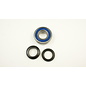 Wheel bearing kit rear 124