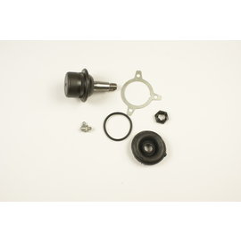 Tragarmkopf unten Fulvia 1. Serie - Flavia