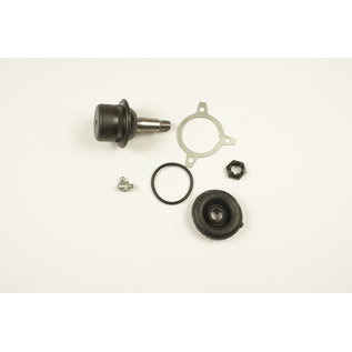 Tragarmkopf unten Fulvia 1. Serie - Flavia