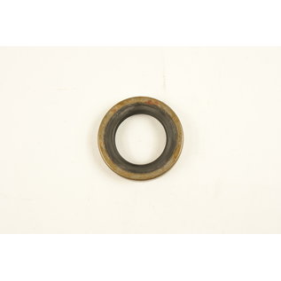 Oil seal differential