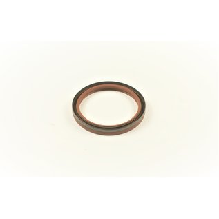 Oil seal crankshaft rear Delta