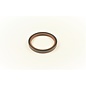 Oil seal crankshaft rear Delta