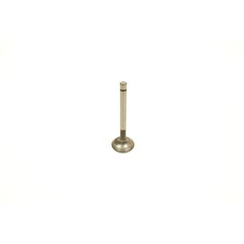 Exhaust valve Fiat 238 B -124N