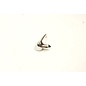 Hinged window hook left Fiat 1100D - 850 Coupe