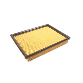 Luftfilter Palio