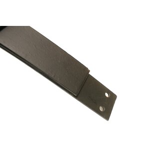 Bladveer achter Fulvia cp 1e