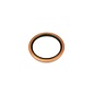 Oil seal crankshaft rear Fulvia