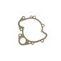 Water pump gasket Gamma