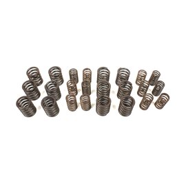 Ressorts de soupape Dino 2000