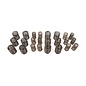 Ressorts de soupape Dino 2000