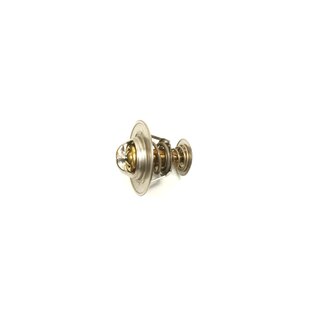 Thermostaat int 8v