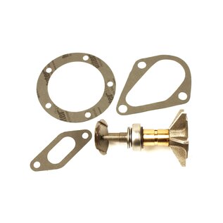 Reparatursatz Wasserpumpe Aurelia