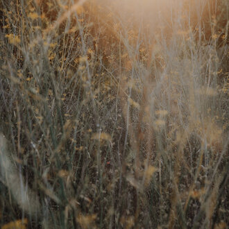 Test - Copy - Copy - Copy