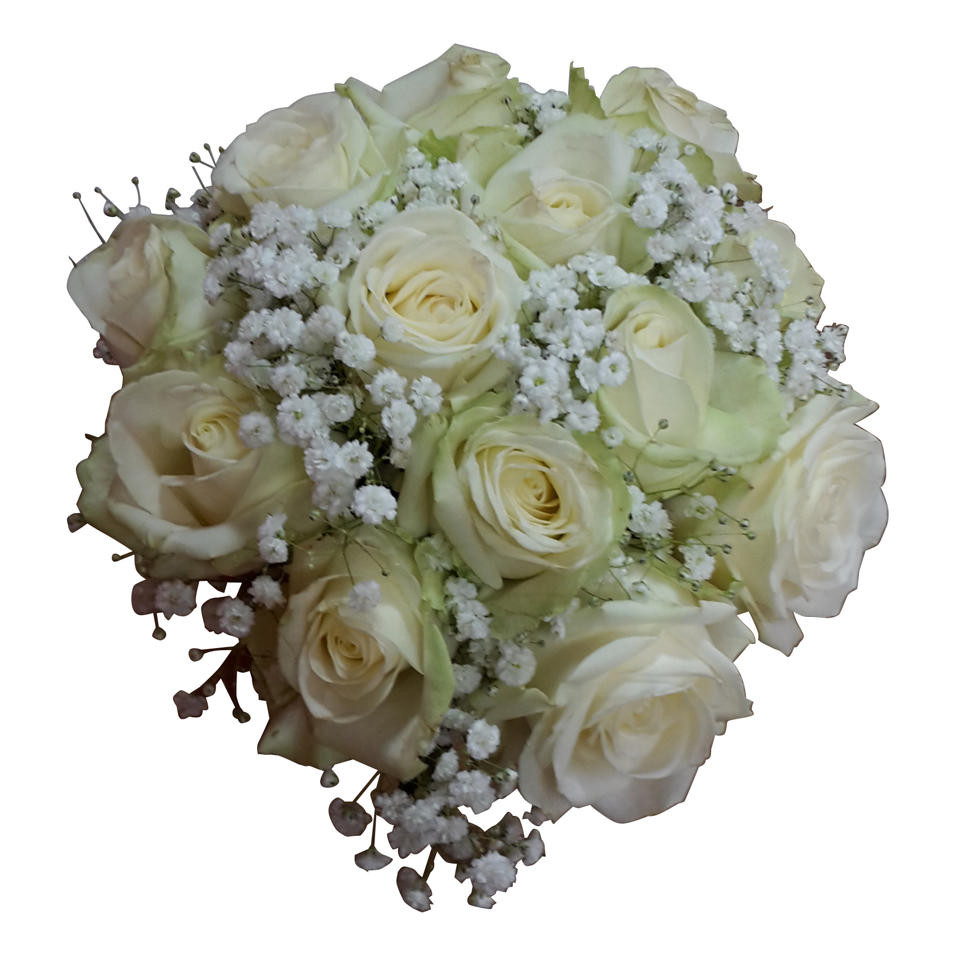 Overeenkomend Zakenman Geschikt Bruidsboeket witte rozen en gips - Firenze Bloemenatelier