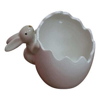 Rabbit with broken egg