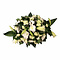 Handwerk met liefde en aandacht Funeral arrangement