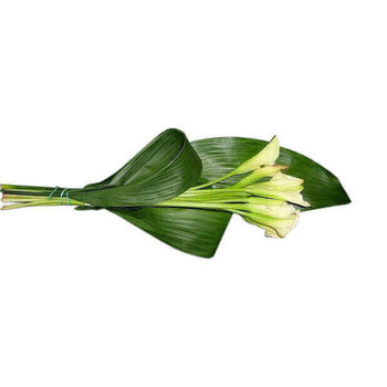 Handwerk Funeral bouquet Calla