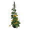  X1 - Thunbergia