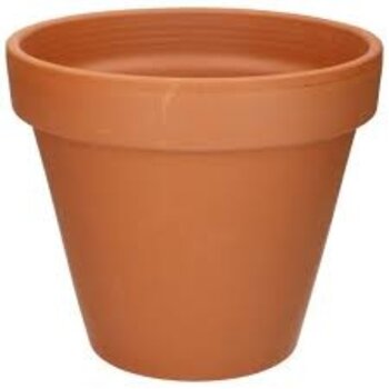 Pot en terre cuite