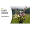 Firenze bloemenatelier Gift voucher