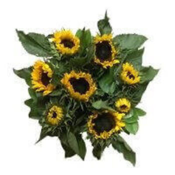 Handwerk met liefde en aandacht Boeket Zonnebloemen