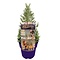  Sapin de Noël à la lavande – Lavandula angustifolia 'Christmas Tree'