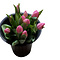 Handwerk met liefde en aandacht Tulpen boeket