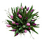 Handwerk met liefde en aandacht Tulip bouquet