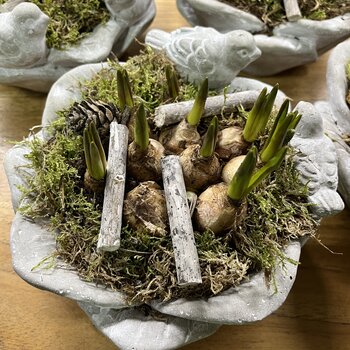 Handwerk met liefde en aandacht Arrangements de Plantes