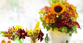 De magie van herfstbloemen in uw interieur