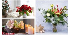 Fleurs et plantes, le cadeau festif idéal