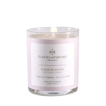 Plantes & Parfums Bougie Parfumée Fleur de Coton
