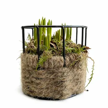 Firenze Bloemenatelier – Handgemaakte Boeketten, Bloemstukken & Planten Arrangements de Plantes