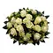  Pièce funéraire Blanc et Vert