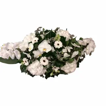 Modern Grafbloemstuk Witte Orchideeën