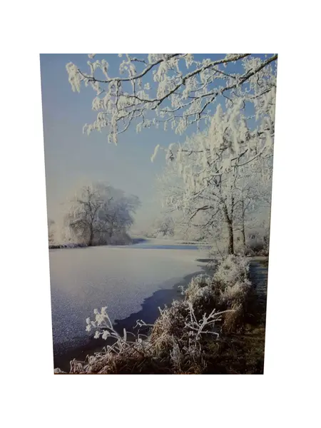 Canvas Winter