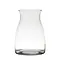  Glass vase