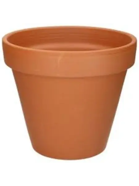 Terracotta Pot D13 x H11